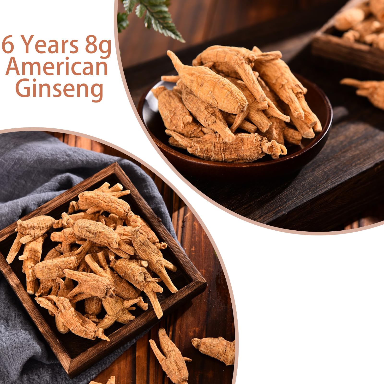 Amazon.com: Natural Wisconsin American Ginseng Root - 6 Years 8g